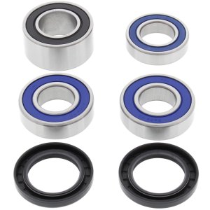 Honda CBR929RR Wheel Bearing Kit - Rear - All Balls Racing - `00-`01